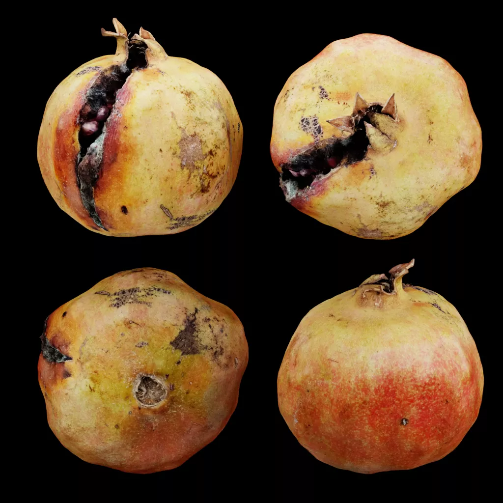 Split Pomegranate Low-poly 3D model