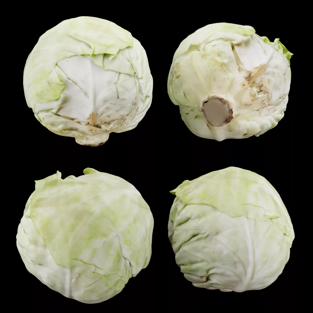 Green Cabbage Low-poly 3D model