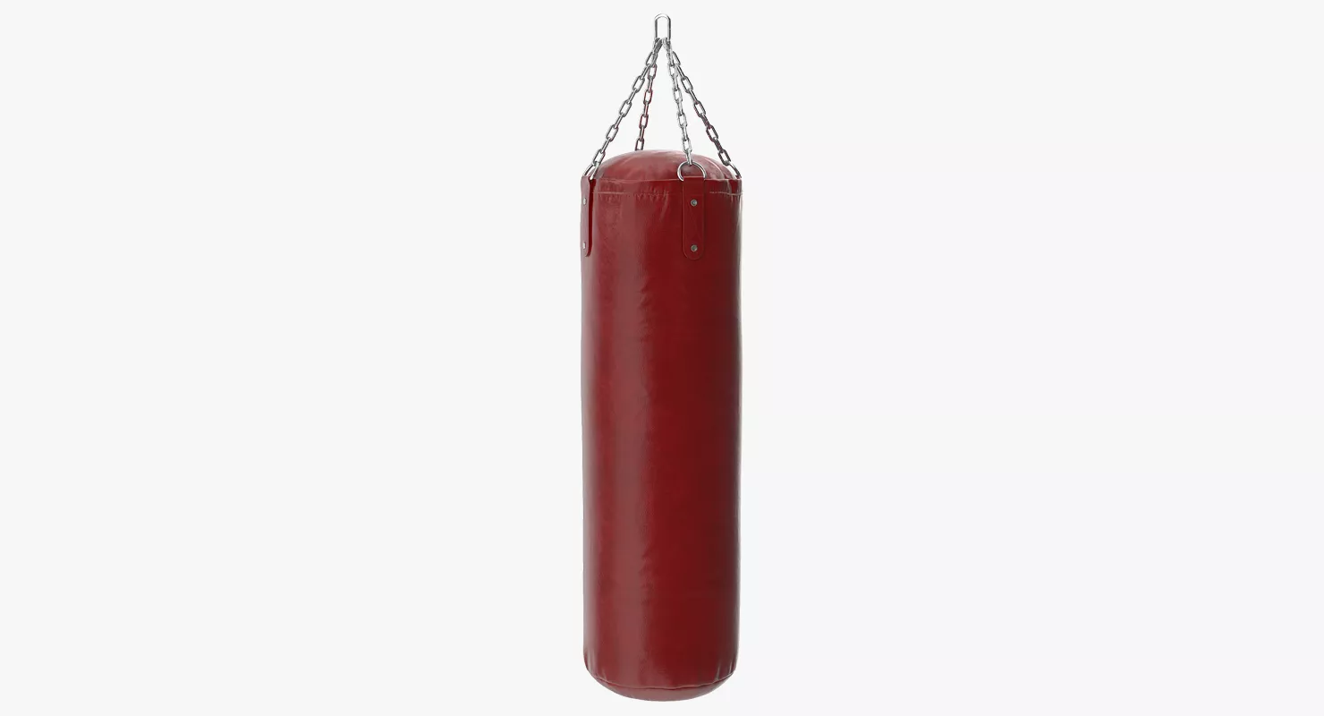 Leather Punching Bag 3D model