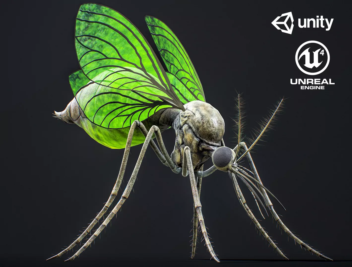 Mosquito Defender - Fantasy Poison Insect - Animated Game Ready Low-poly 3D model