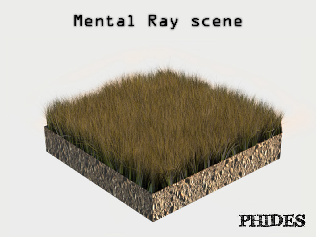 Dry grass 1 3D model_5