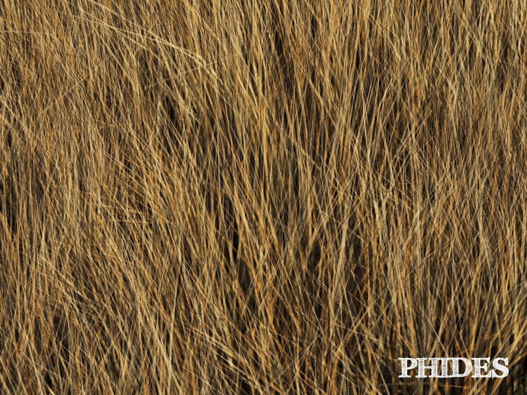 Dry grass 1 3D model_4