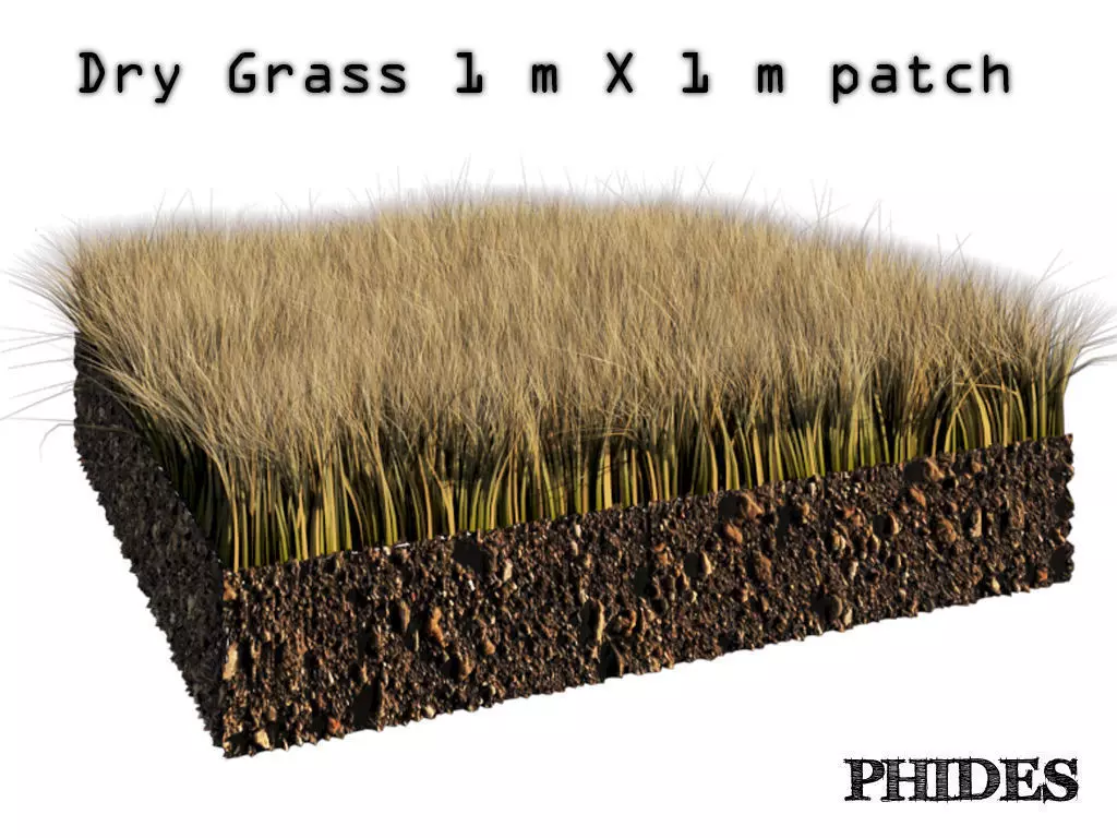 Dry grass 1 3D model_0