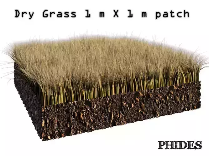 Dry grass 1 3D model