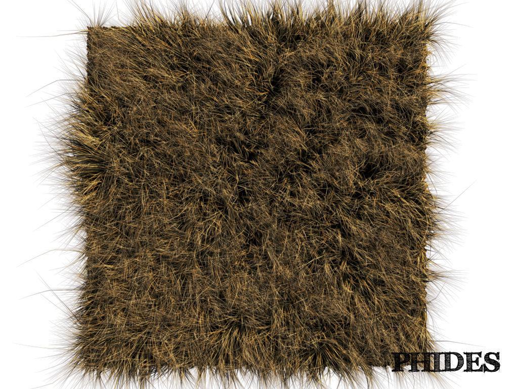 Dry grass 1 3D model_1