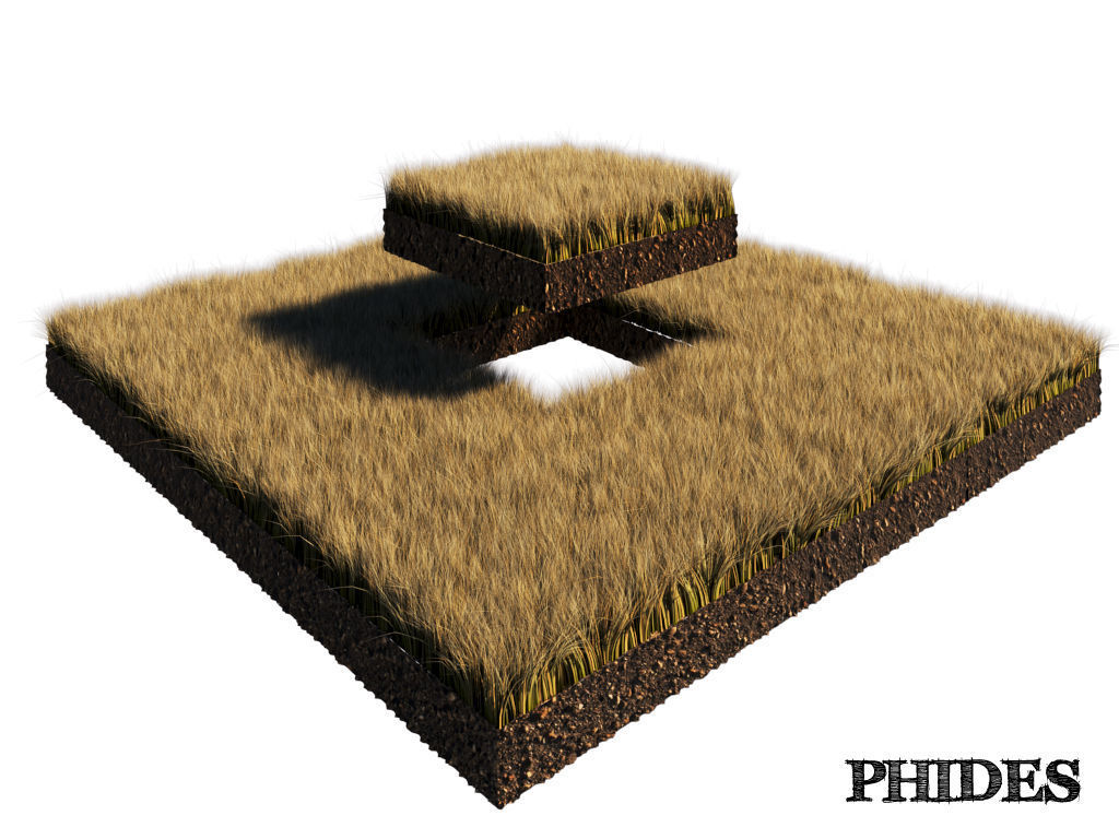 Dry grass 1 3D model_3