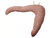 3D model Dog Pancreas Canine Veterinary Anatomy VR / AR / low-poly ...