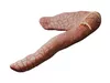 3D model Dog Pancreas Canine Veterinary Anatomy VR / AR / low-poly ...