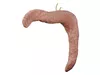 3D model Dog Pancreas Canine Veterinary Anatomy VR / AR / low-poly ...