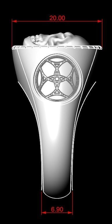 Ring with skull and patterns of many sizes 151 3D print model_16