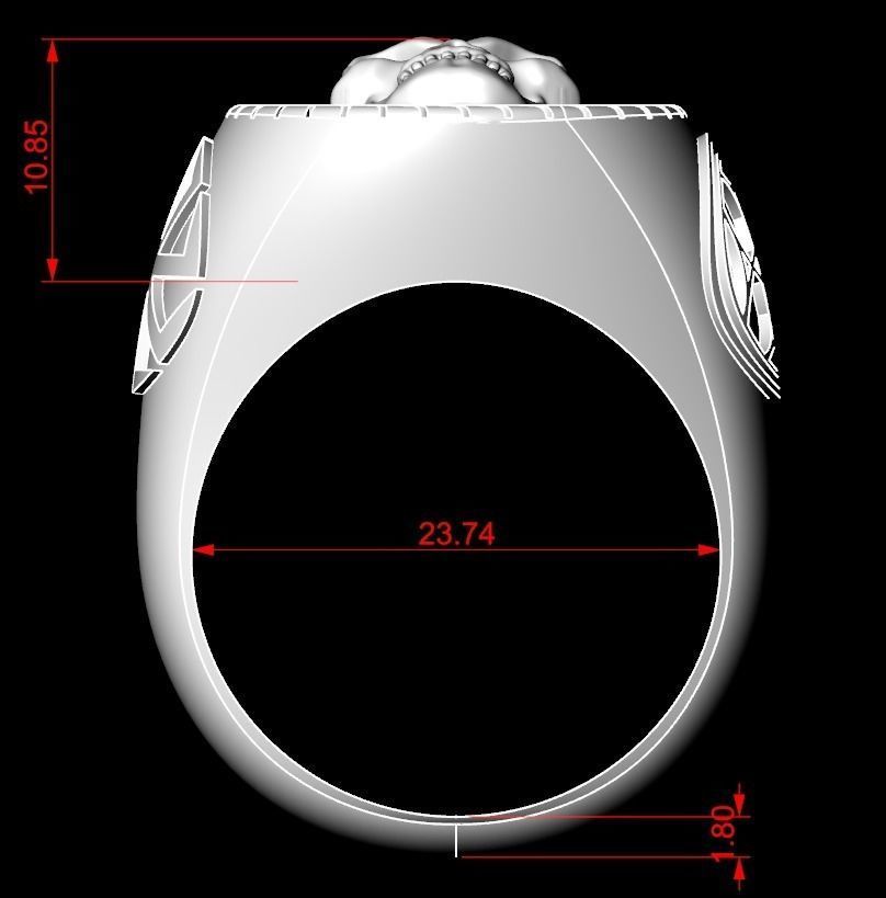 Ring with skull and patterns of many sizes 151 3D print model_15