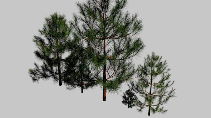 Tree pack 02 - pines Low-poly 3D model