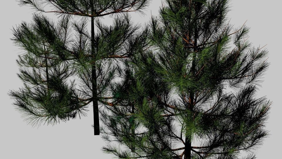 Tree pack 02 - pines Low-poly 3D model_2