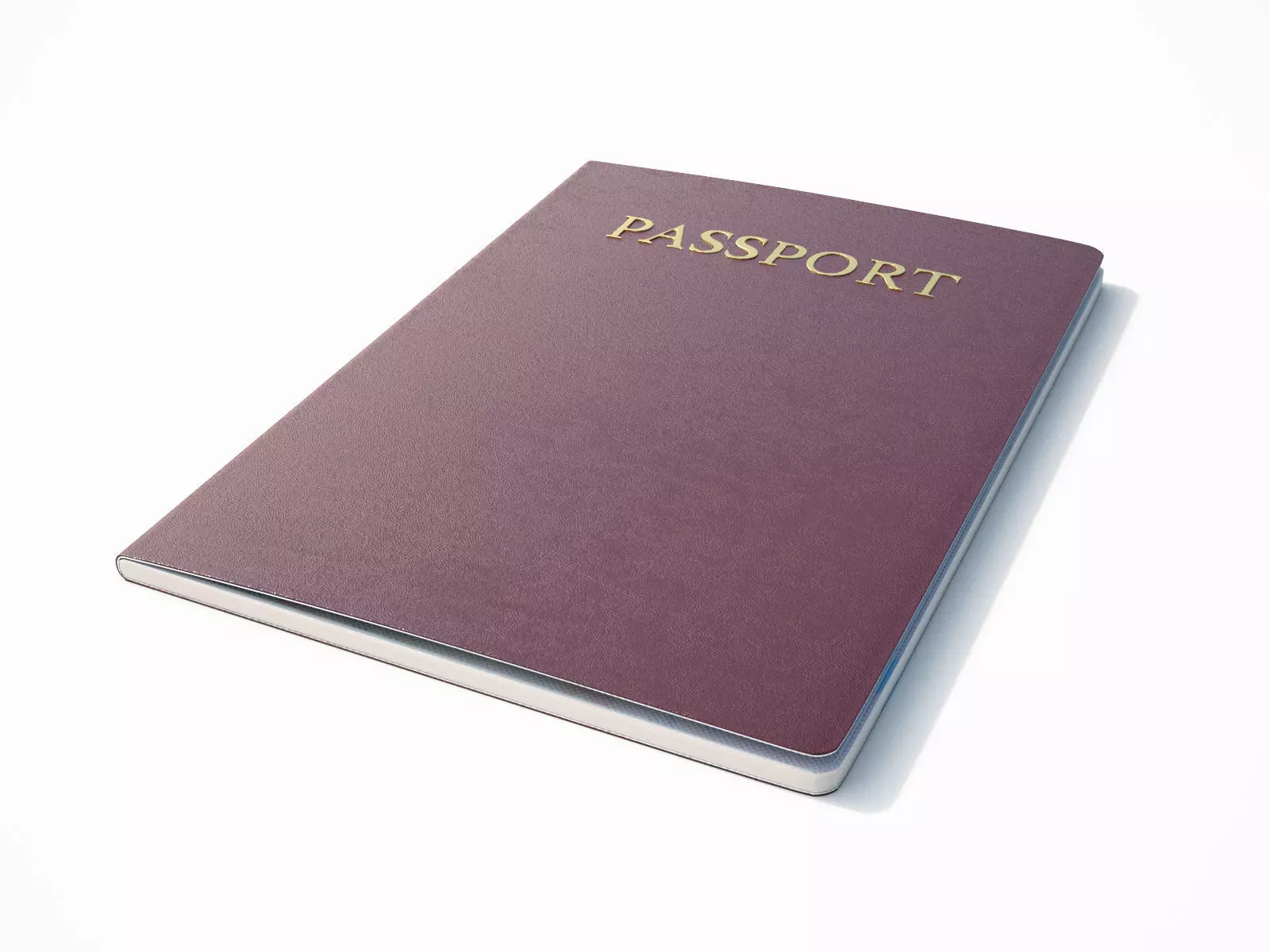 Passport Red 3D model_0