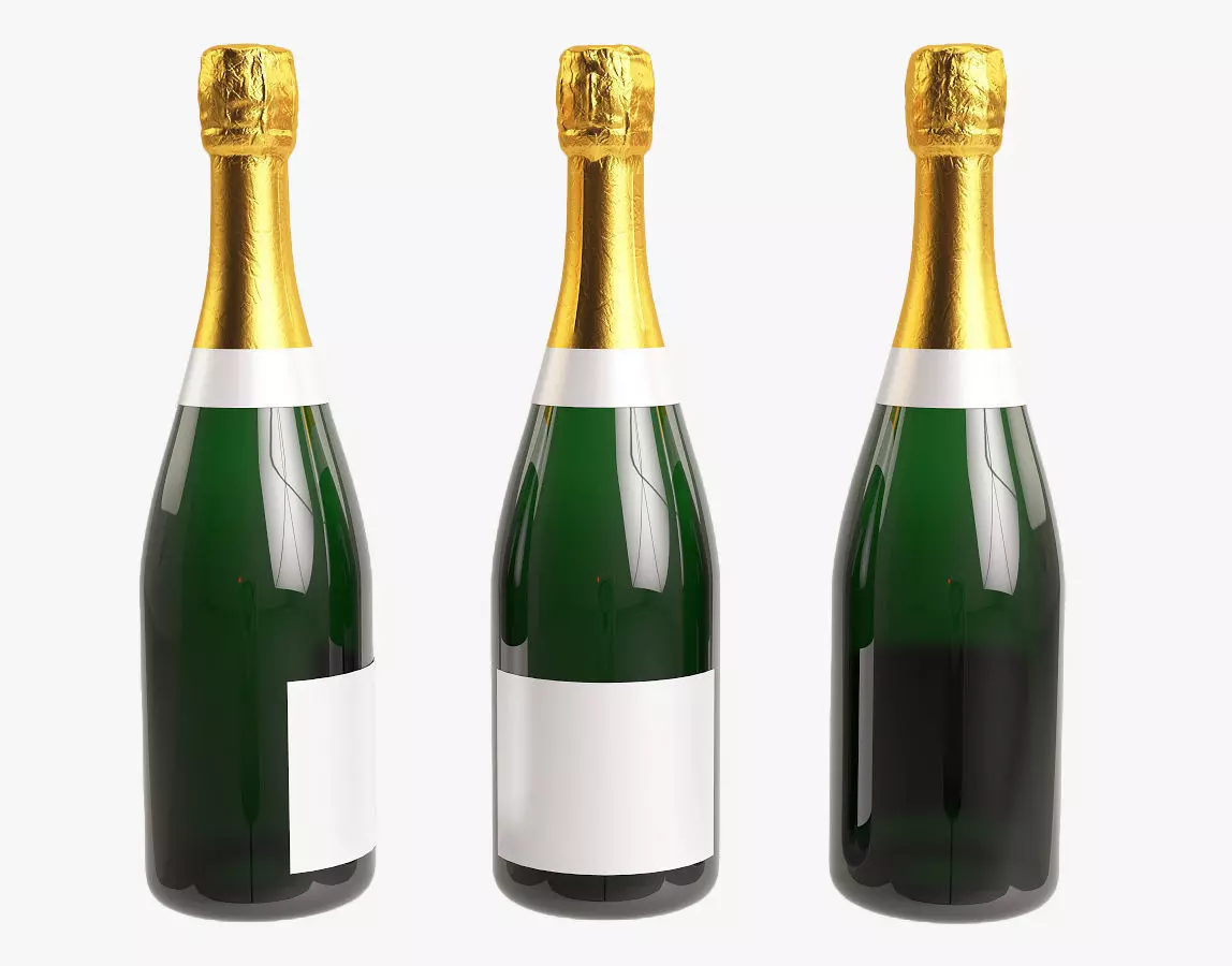 Champagne bottle 3D model_0