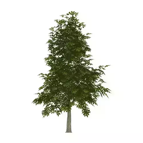 Lowpoly 3Dmodel tree VR AR game 3LOD number0