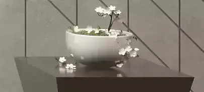 cute pot with flowers