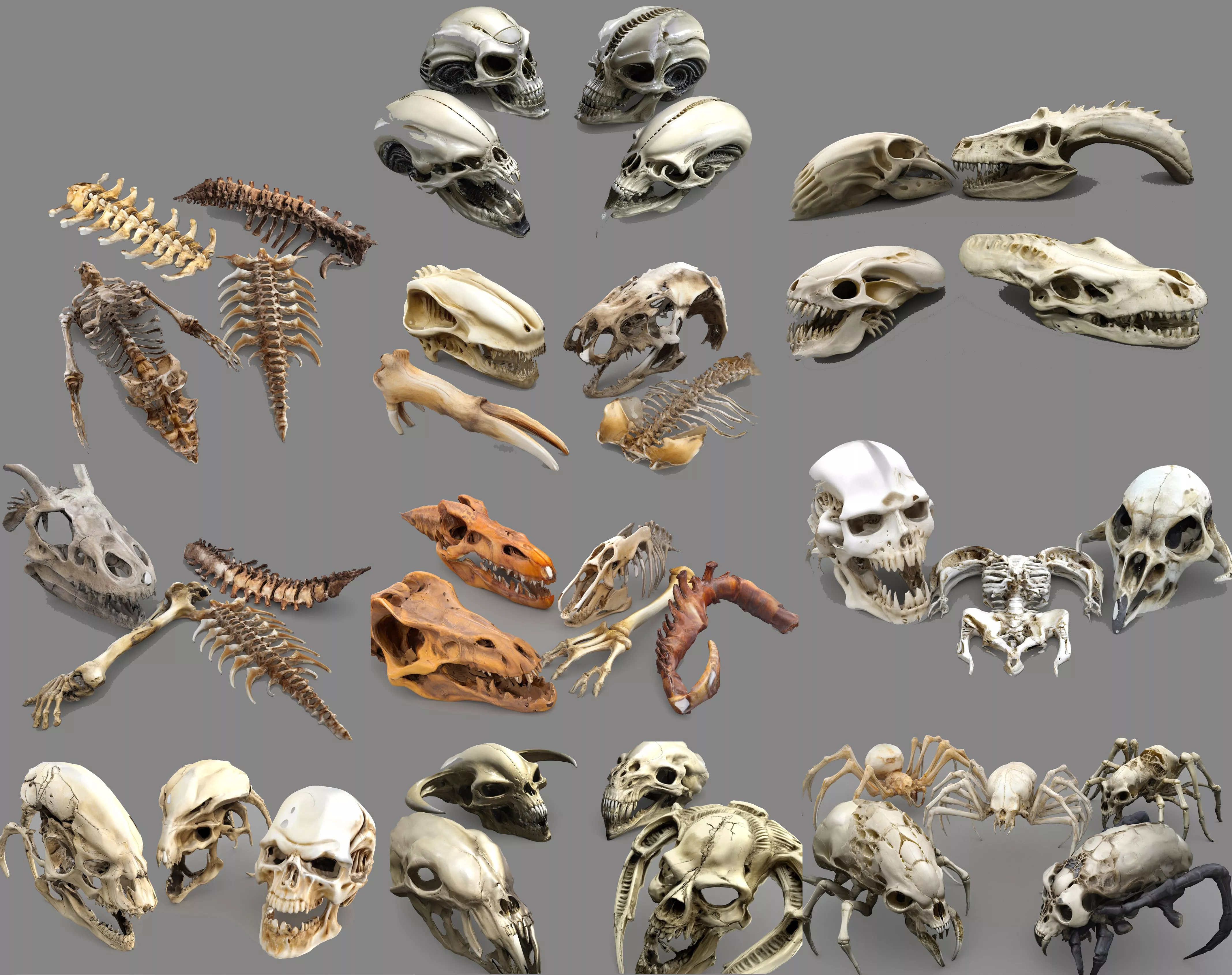 Predator Skull Pack Low-poly 3D model