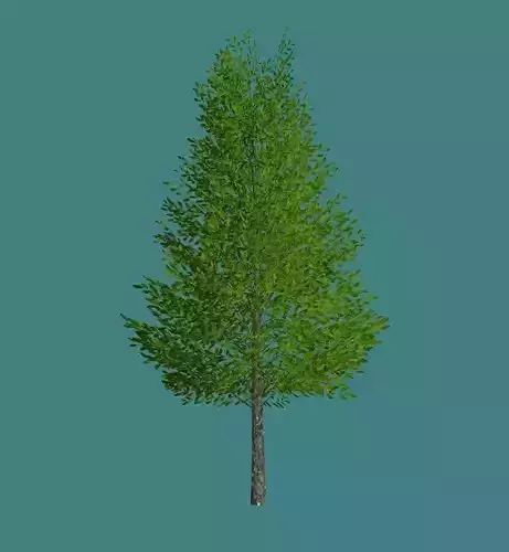 Lowpoly 3Dmodel tree VR AR game 3LOD number1