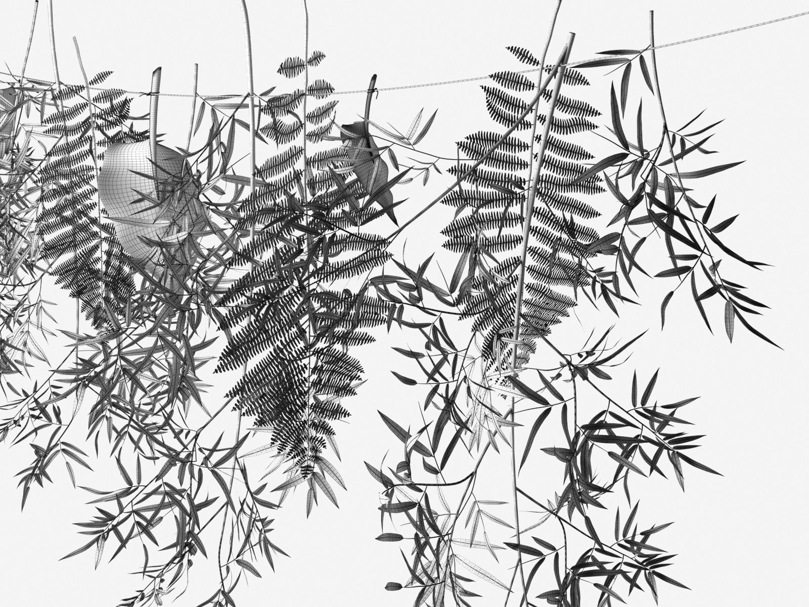 Hanging Plants on Rope 3D model_4