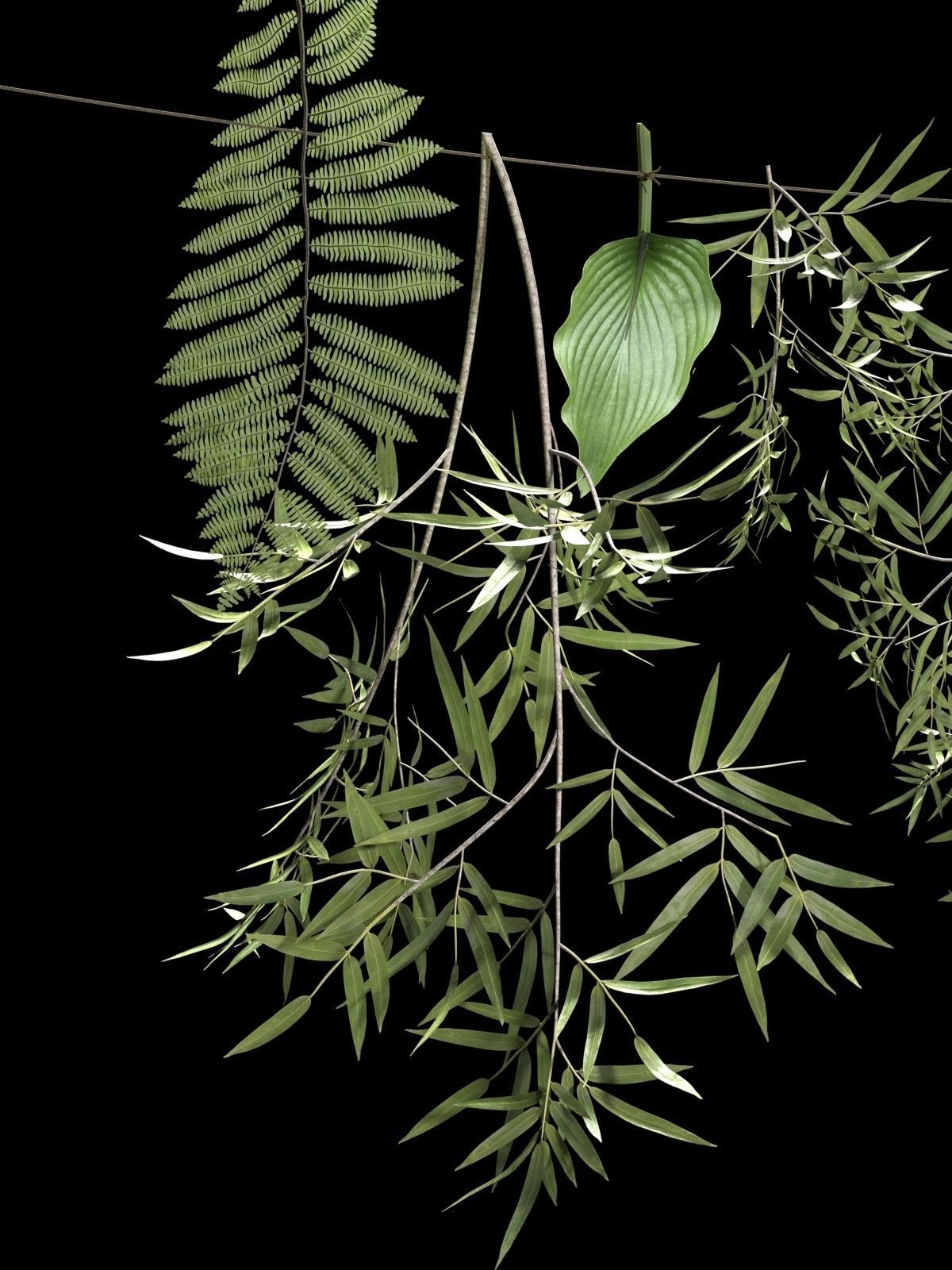 Hanging Plants on Rope 3D model_2
