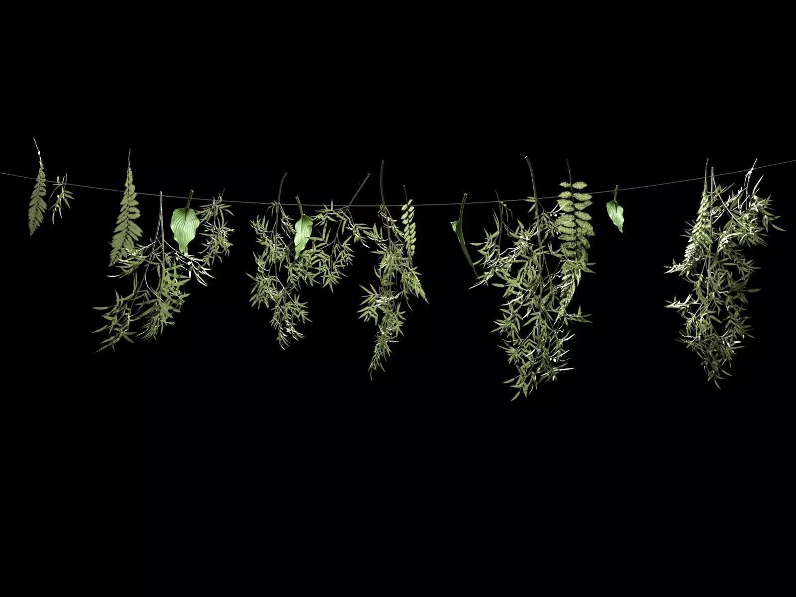 Hanging Plants on Rope 3D model_0