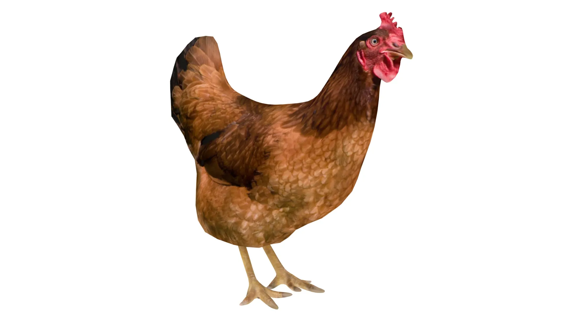 Chicken 1 Low-poly 3D model