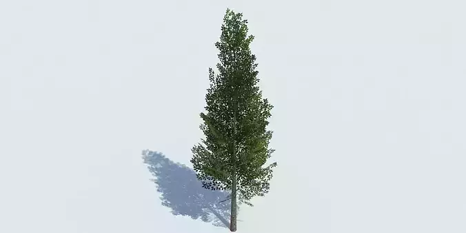 Lowpoly 3Dmodel tree VR AR game 3LOD number2