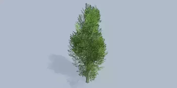 Lowpoly 3Dmodel tree VR AR game 3LOD number3