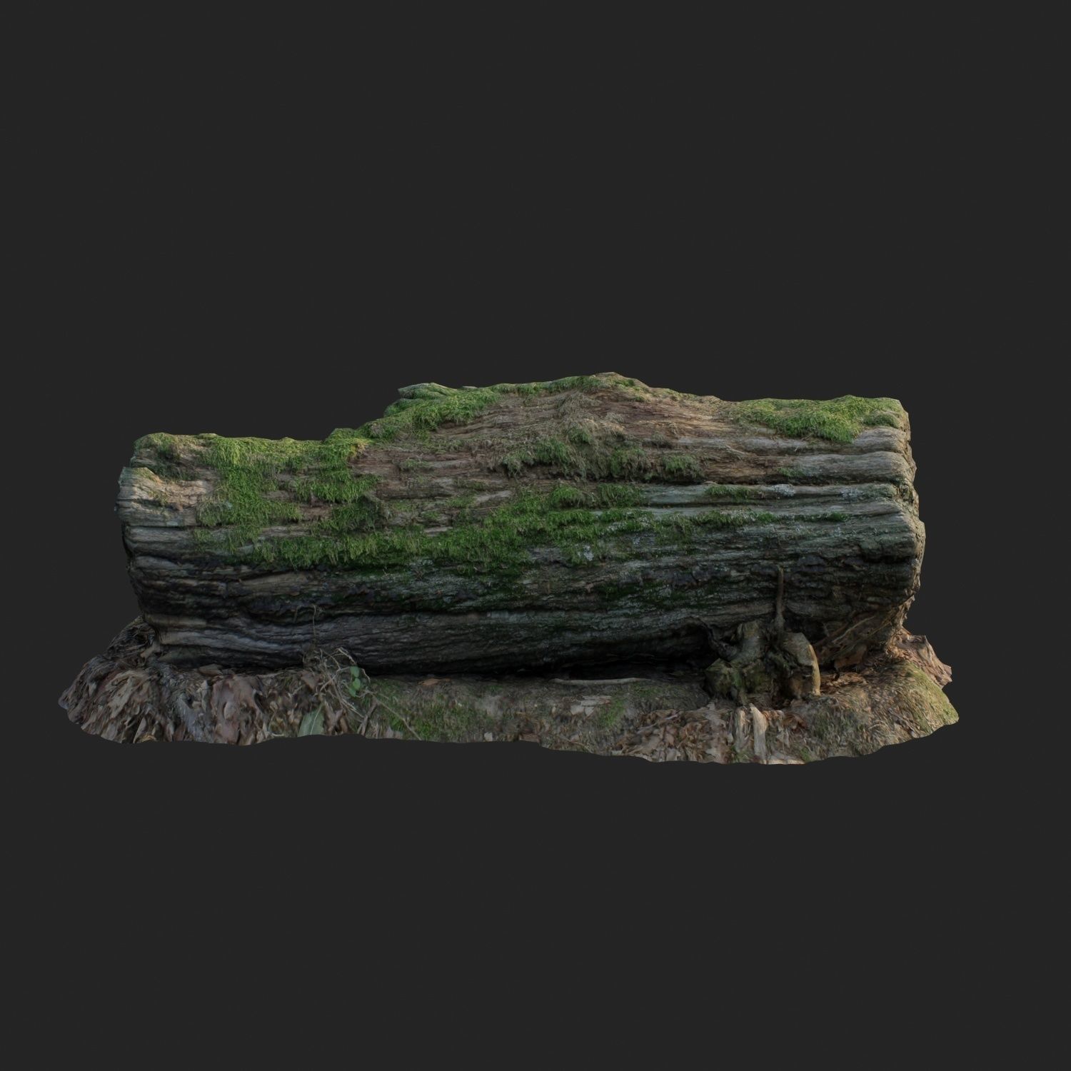 3d scanned nature forest stuff 001 Low-poly 3D model_1