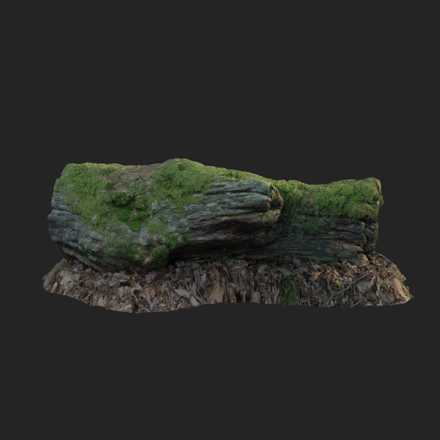 3d scanned nature forest stuff 001 Low-poly 3D model_2