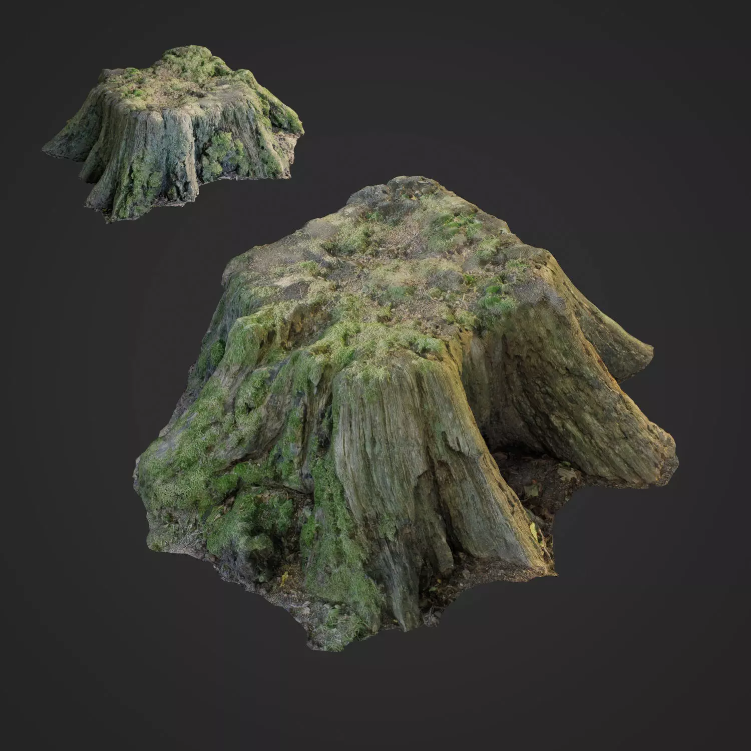 3d scanned nature tree stump 006 Low-poly 3D model_0
