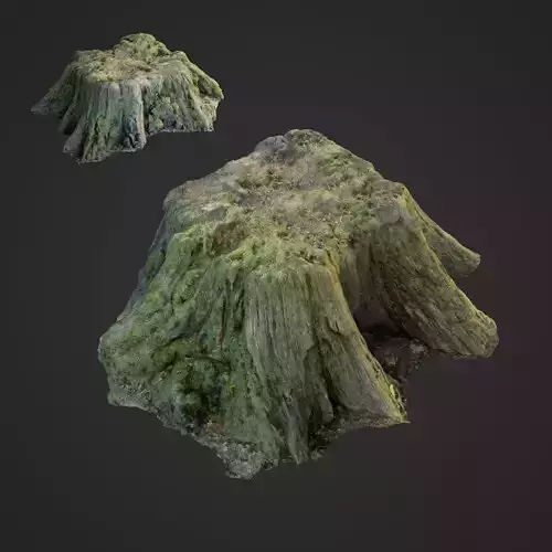3d scanned nature tree stump 006