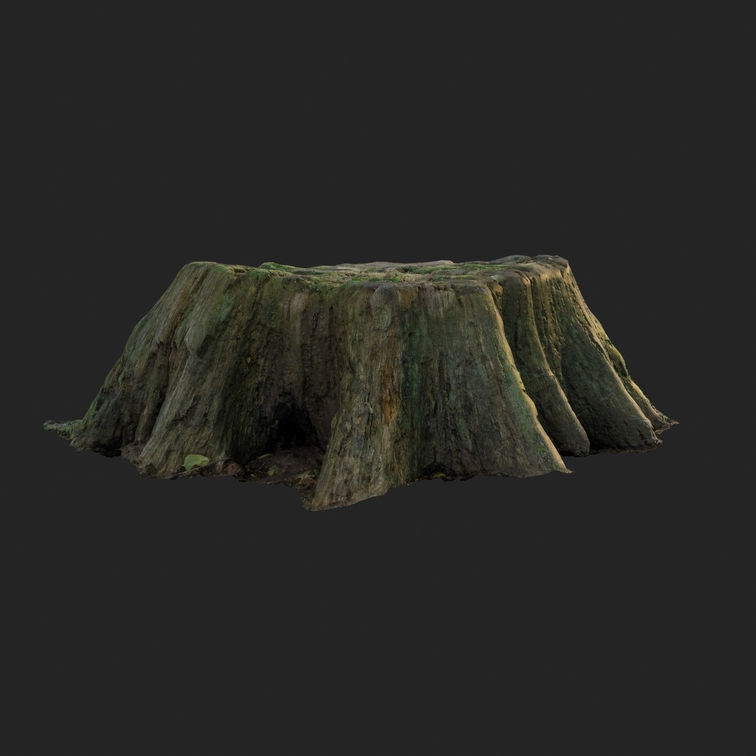 3d scanned nature tree stump 006 Low-poly 3D model_2