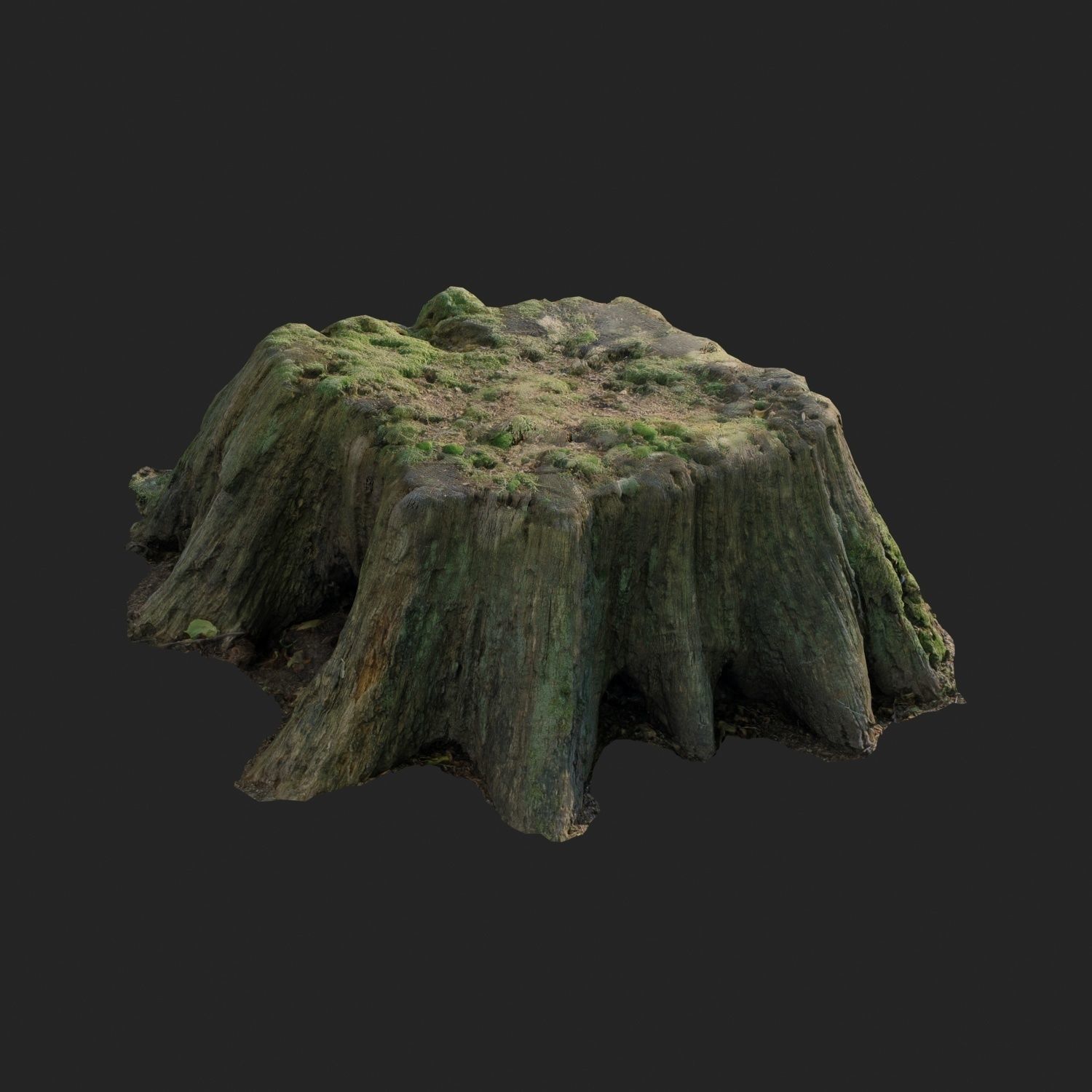 3d scanned nature tree stump 006 Low-poly 3D model_1