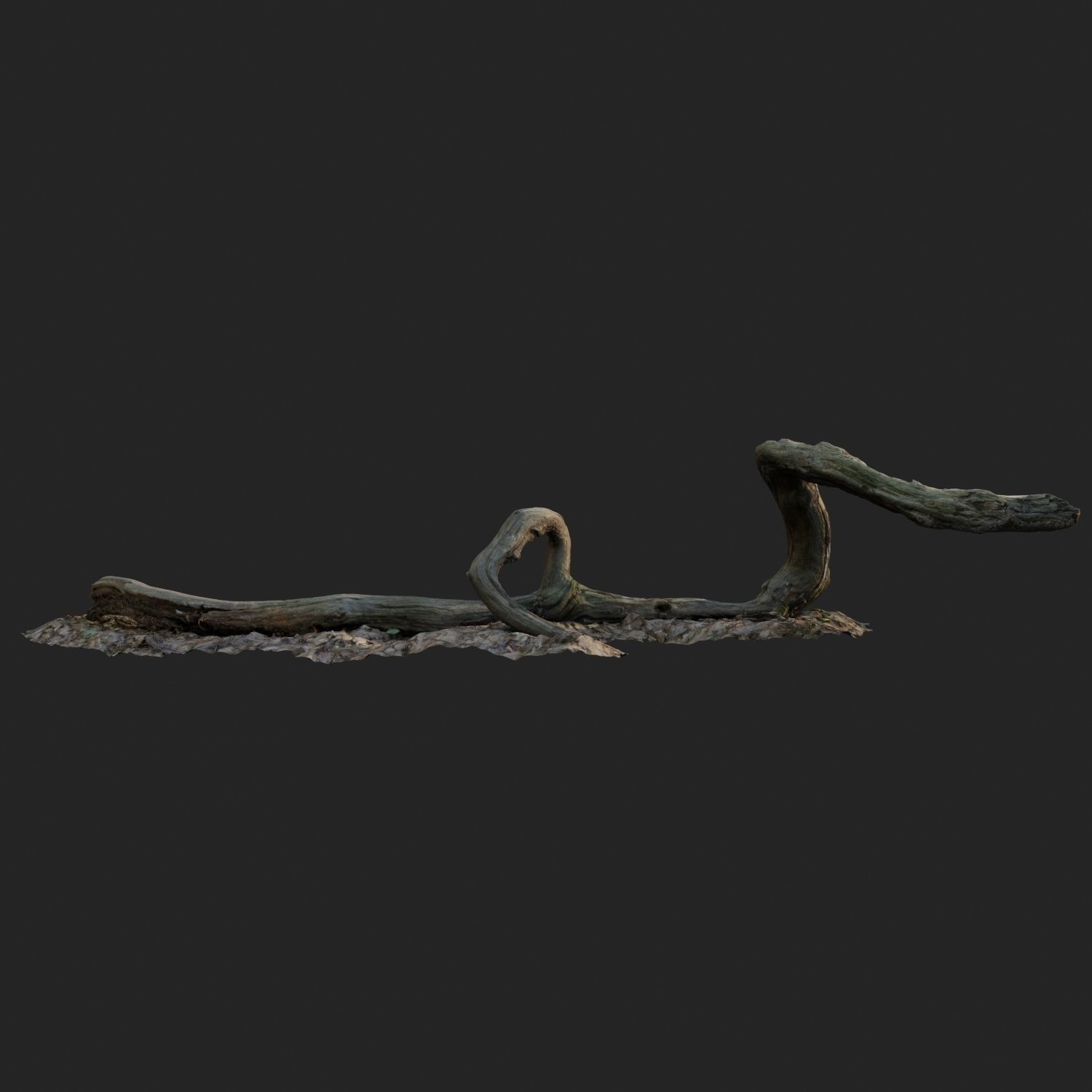 3d scanned nature forest stuff 002 Low-poly 3D model_2