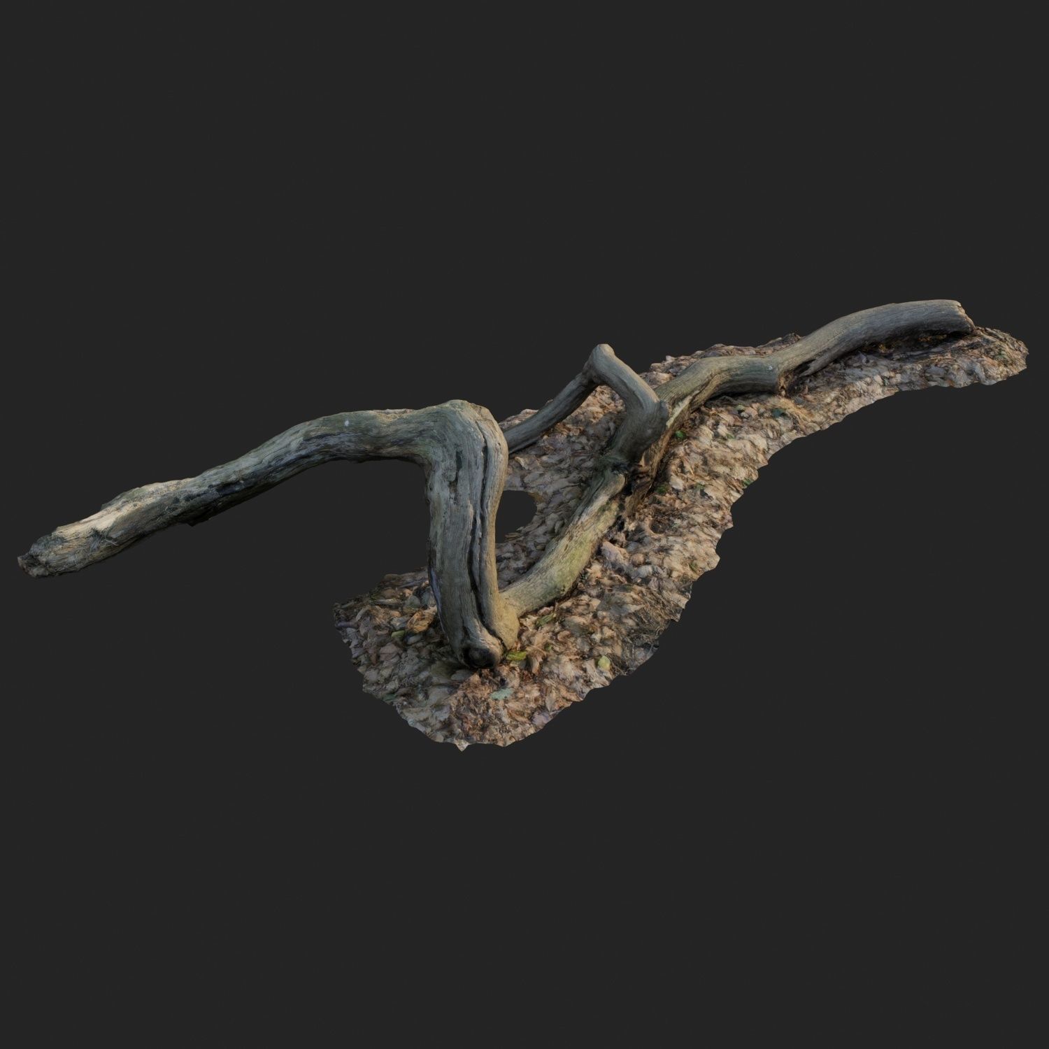 3d scanned nature forest stuff 002 Low-poly 3D model_1