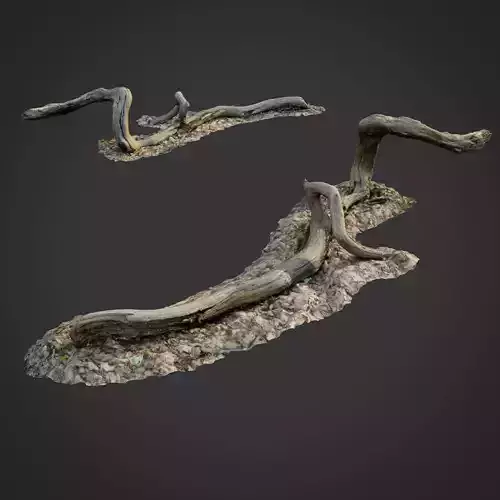 3d scanned nature forest stuff 002