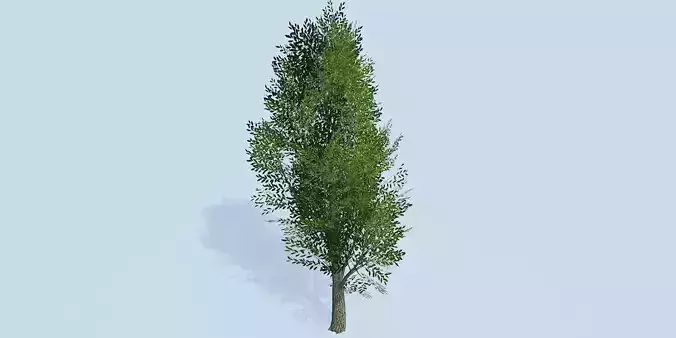Lowpoly 3Dmodel tree VR AR game 3LOD number4