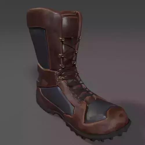 Hiking Boot