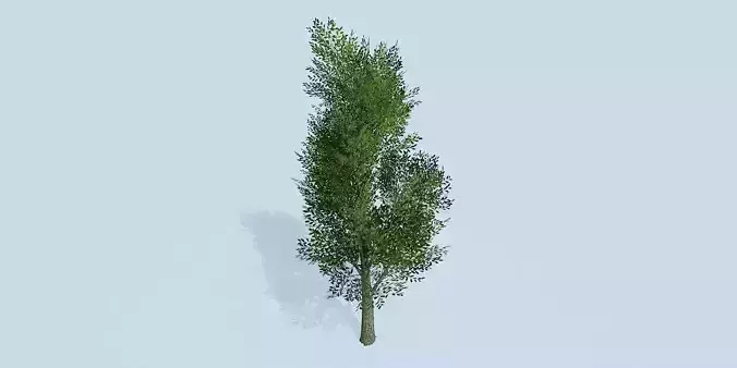 Lowpoly 3Dmodel tree VR AR game 3LOD number5