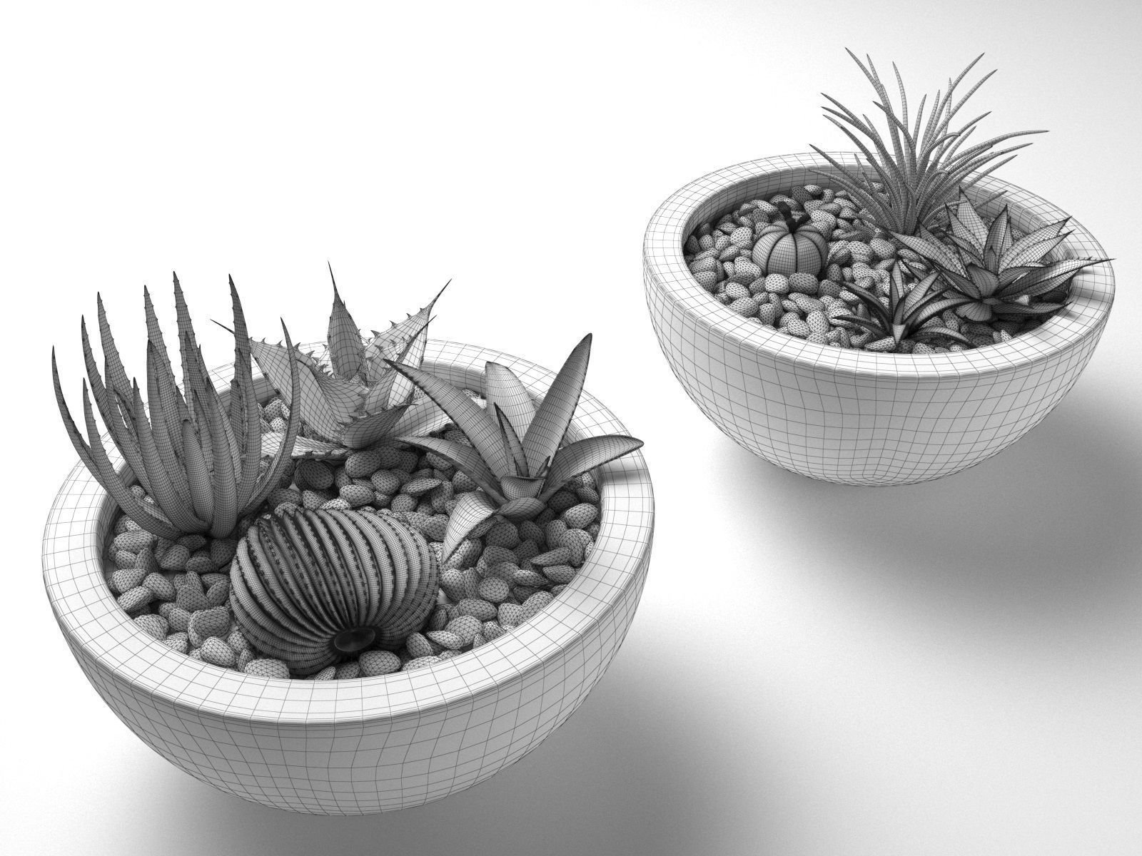 Bowl Planters with Cactus and Succulents 3D model_3