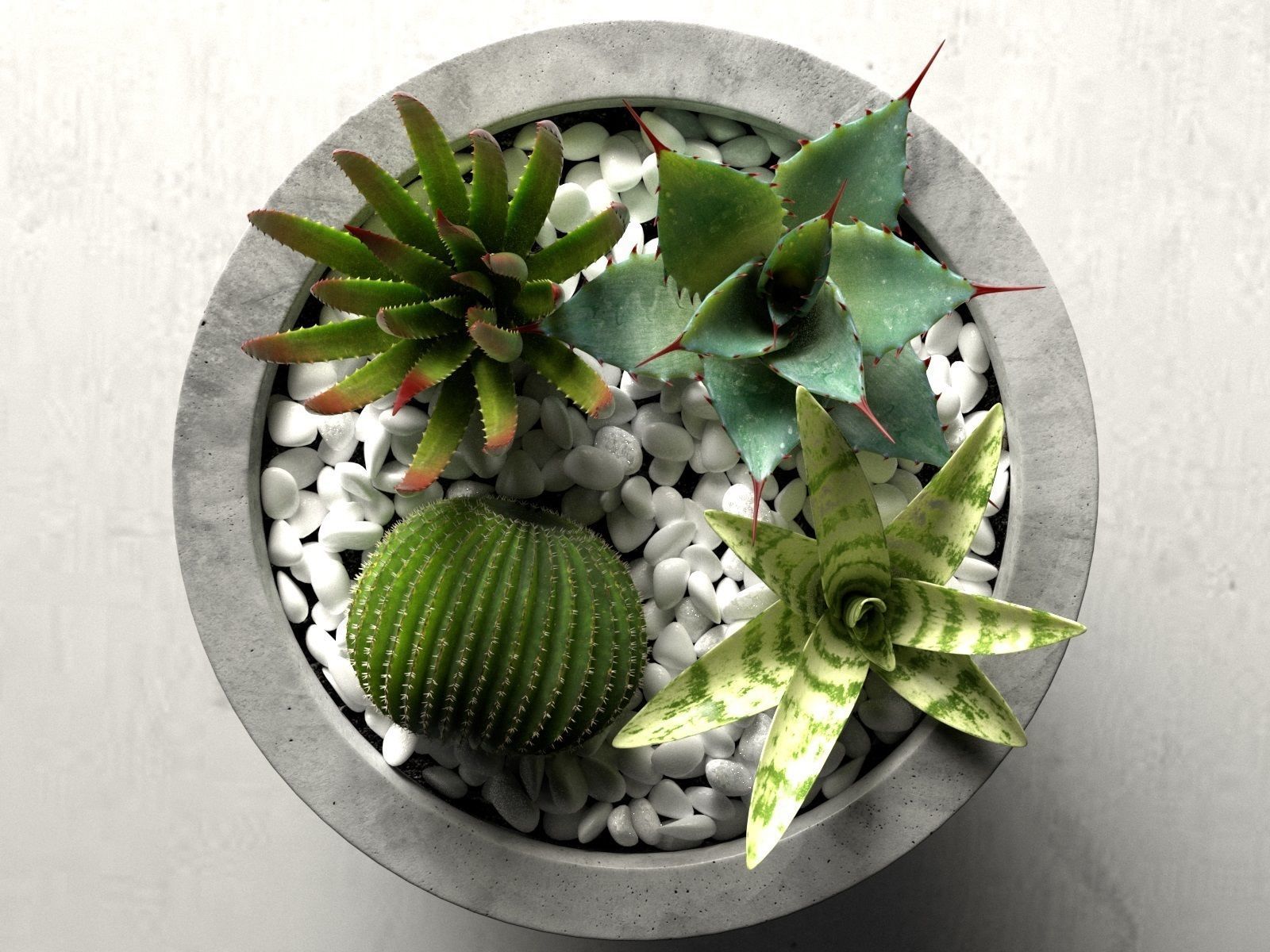 Bowl Planters with Cactus and Succulents 3D model_1