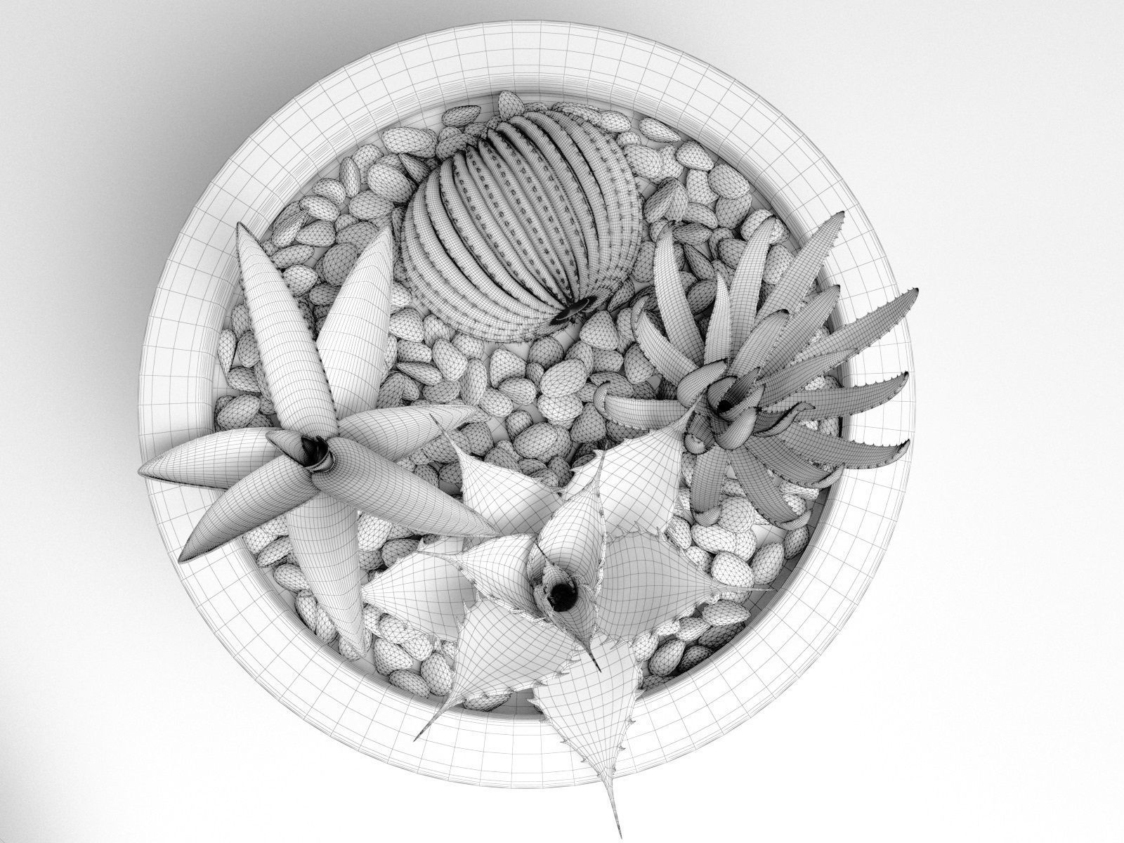 Bowl Planters with Cactus and Succulents 3D model_4