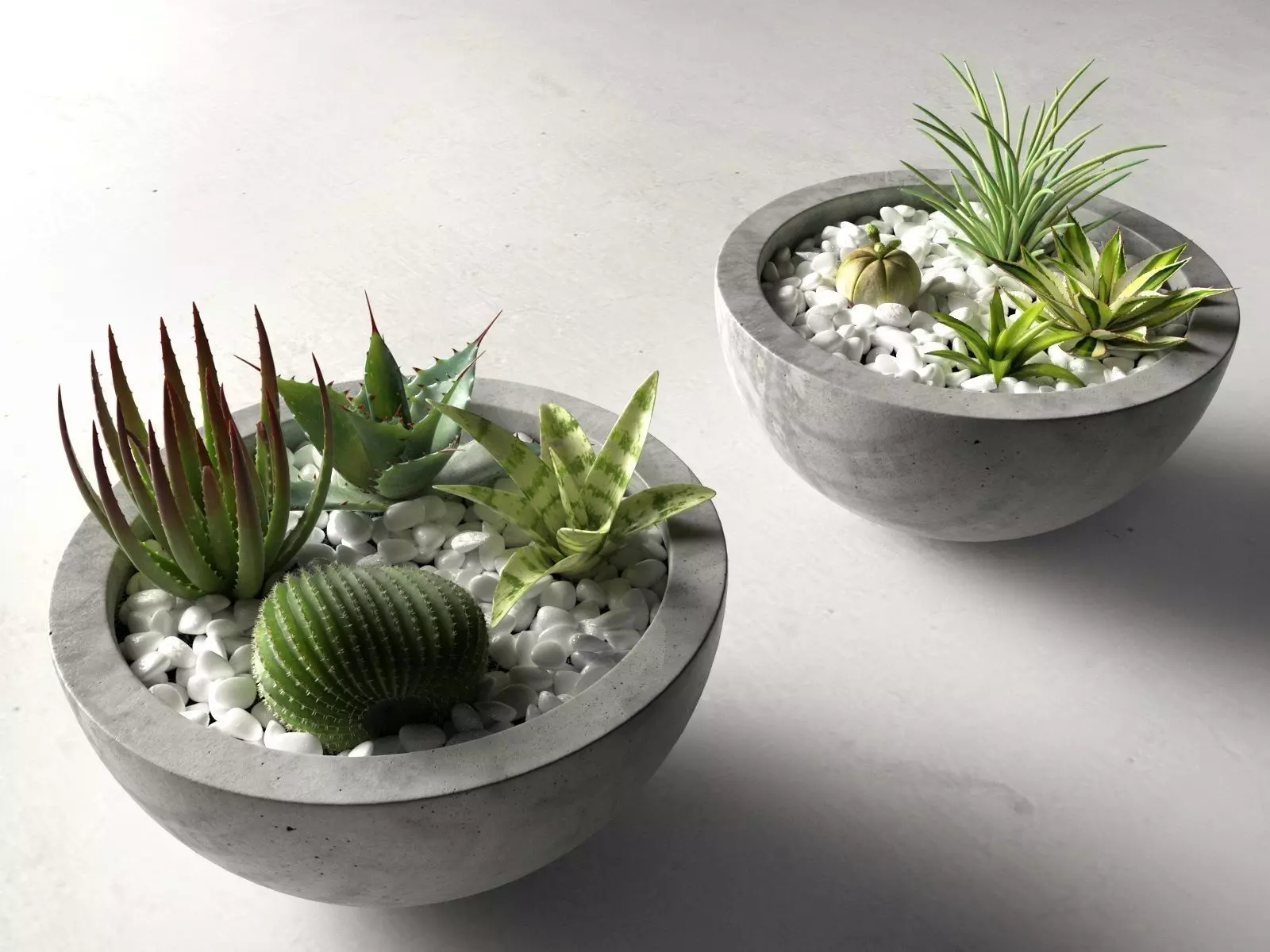Bowl Planters with Cactus and Succulents 3D model_0