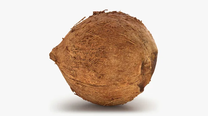 Coconut 01 - 3D Scanned