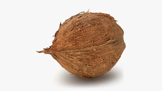 Coconut 02 - 3D Scanned