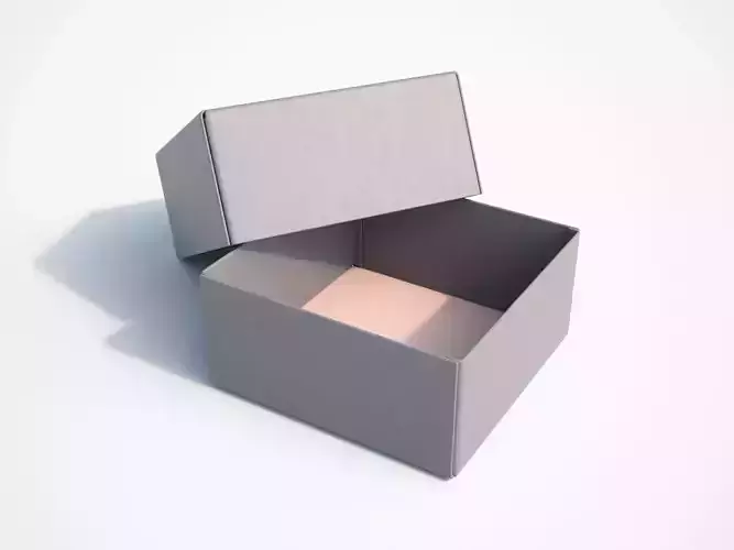 Box Cap 3D model