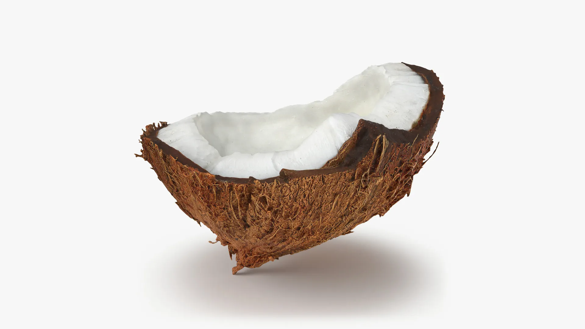 Half Coconut 02 - 3D Scanned 3D model