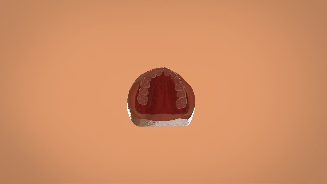 Digital Full Dentures for 3D Printing and Milling 3D print model_11